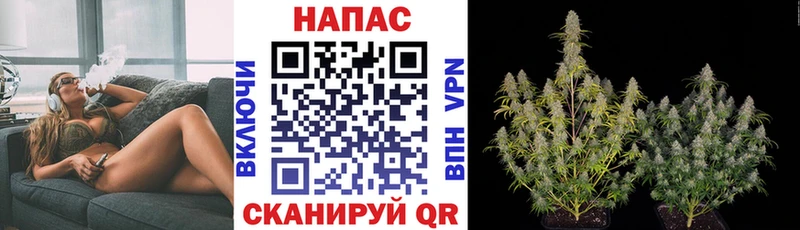 Шишки марихуана OG Kush Волгореченск