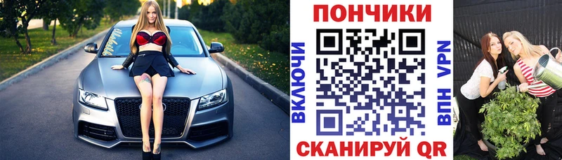 Шишки марихуана Bruce Banner  Купить закладки  Волгореченск 